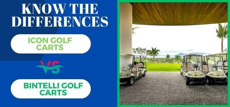 Bintelli vs Icon Golf Carts