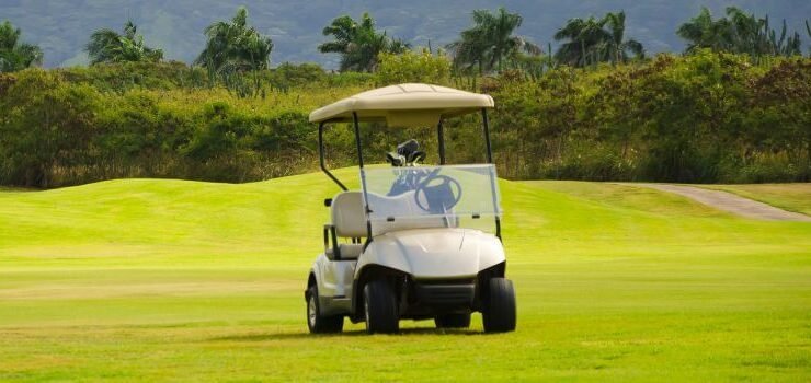 Icon vs Yamaha Golf Carts